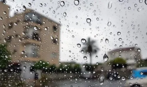Weather Alert: Low-Pressure System to Impact Northern Gulf, Rain Expected in Bahrain