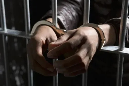 سجن رجل ثلاث سنوات لتهريبه "التنباك" داخل شحنة بصل