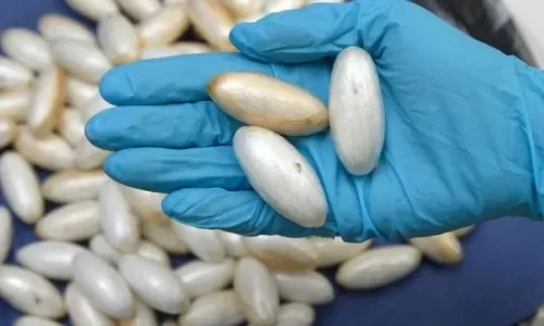 Man receives 5 years in jail, BD5000 fine for peddling drugs
