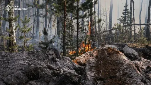 Forest fire burns through Chernobyl exclusion zone after drone crash: Ukraine