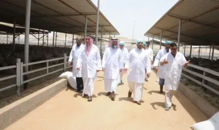 MP calls for increased supervision on meat import
