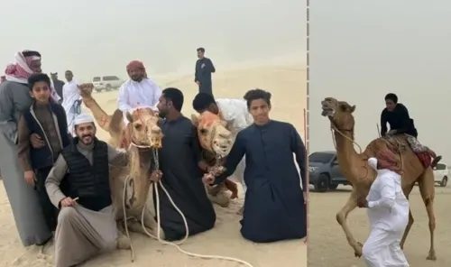 انطلاق سباقات الهجن التقليدية