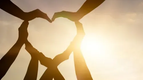 نواب يطالبون بتخصيص أراضٍ مجانية للجمعيات الخيرية