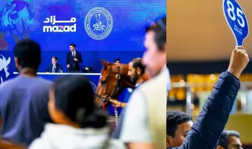 أول مزاد افتراضي للخيول في البحرين
