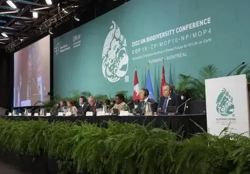 Nearly 200 countries sign historic deal to halt biodiversity loss by 2030