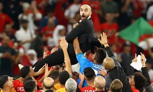 Moroccan 'lions' roar in Qatar, write World Cup history to reach semi-finals