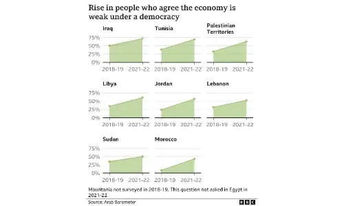 Arabs believe economy is weak under democracy: Survey