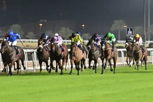 استمرار سباقات الخيل المثيرة في نادي راشد للفروسية وسباق الخيل