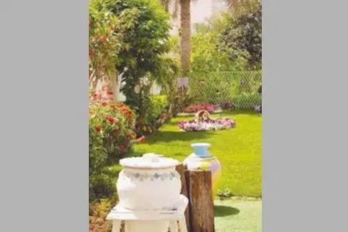 Casino Garden Visitors May Pay for Selected Services