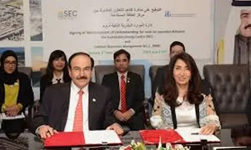تعزيز الطاقة المستدامة