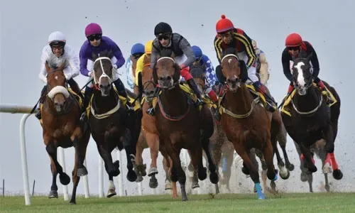نادي راشد للفروسية وسباق الخيل ينظم سباقه السابع عشر للموسم