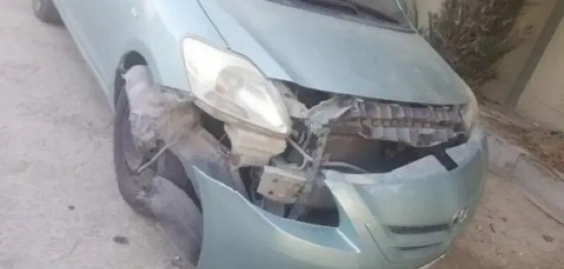 Stray dogs attack car