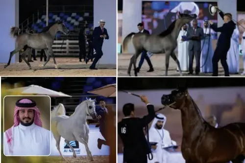 البحرين تستضيف حدثاً عالمياً لجمال الخيول العربية