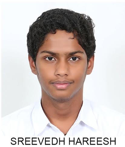article-image