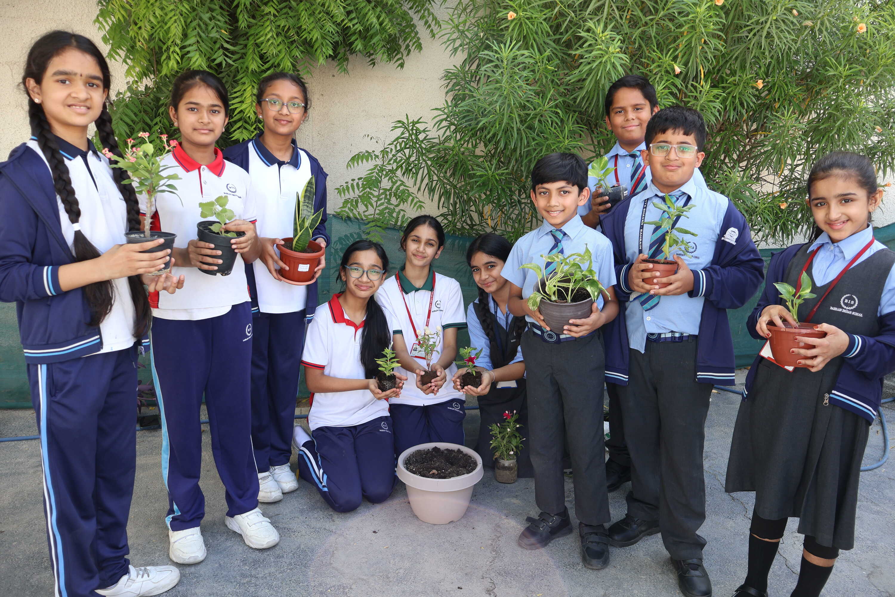 article-image