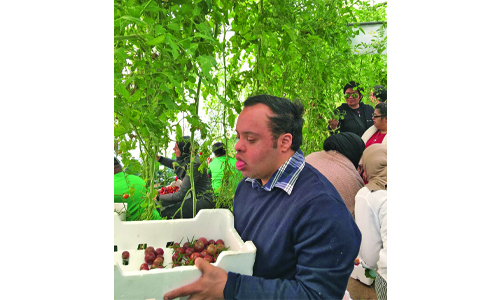 article-image