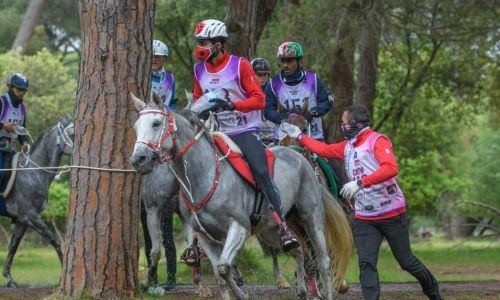 HH Shaikh Nasser bin Hamad praised royal care for equestrian sports