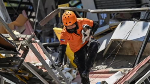 Philippines Quake Death Toll Reaches 46 as Search Efforts Continue Philippines Quake Death Toll Reaches 46 as Search Efforts Continue