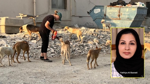 How Many More Will Have to Suffer? Fathiya Al Bastaki Calls for Mandatory ID Tags to Combat Dog Abandonment and Mistreatment