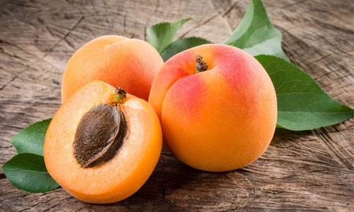 Taking high doses of apricot kernel extract could be lethal