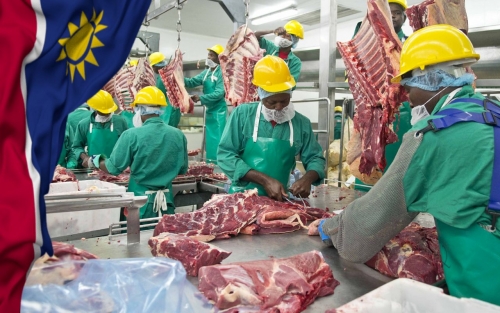 Namibia halts meat exports after rare foot-and-mouth disease outbreak Namibia halts meat exports after rare foot-and-mouth disease outbreak