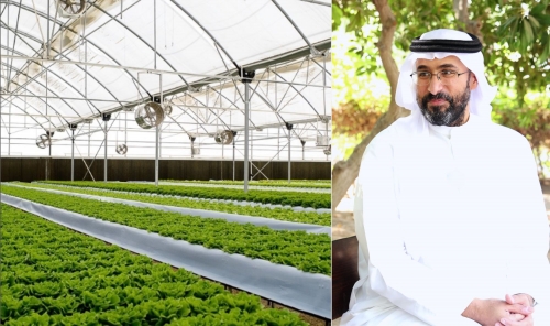 Peninsula Farms: Growing Bahrain’s Green Vision Peninsula Farms: Growing Bahrain’s Green Vision