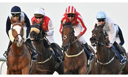 REHC hosts eight-race card today