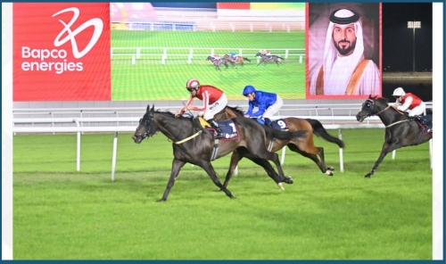 Winners Crowned at Bahrain International Horse Racing Round