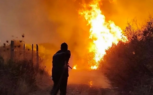 Algeria Battles Deadly Wildfires as President Calls for Death Penalty