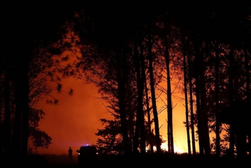 15-year-old detained over deadly French forest fire 15-year-old detained over deadly French forest fire