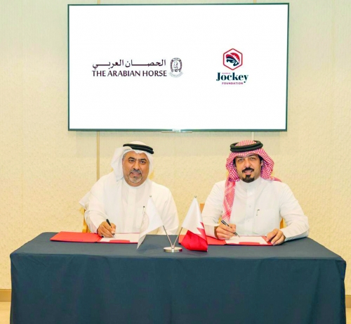 Strengthening Equestrian Safety