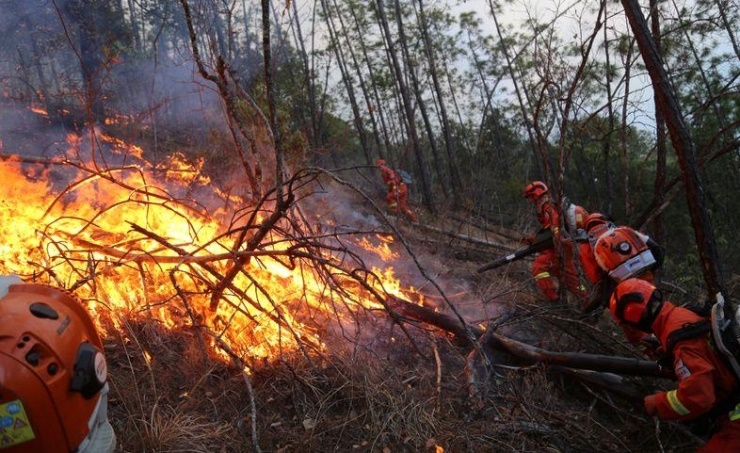 Forest fire kills 19 in China's Sichuan province