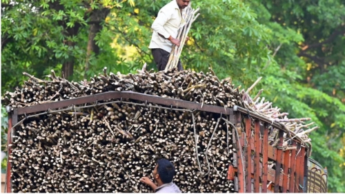 India Bans Sugar Exports Until September Amid Supply Fears and Rising Domestic Prices