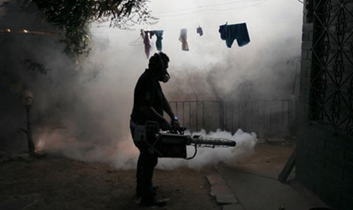 Olympic organizers say Zika problem to decline in time Olympic organizers say Zika problem to decline in time