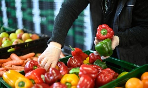 Global food prices drop 13.7% in 2023, says FAO
