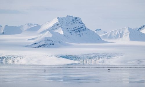 March heat, Antarctic ice close to records