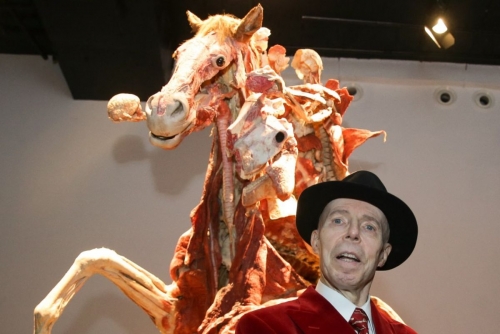 German creator of 'Body Worlds' anatomy exhibits dead at 81