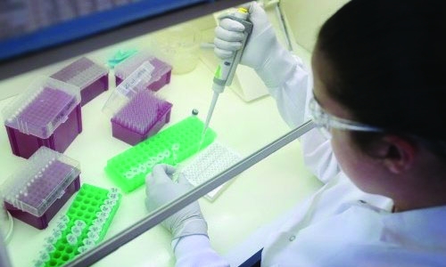 Birth defects jump twentyfold in Zika-hit mothers