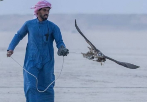 Bahrain welcomes all to join its thrilling traditional sports Bahrain welcomes all to join its thrilling traditional sports