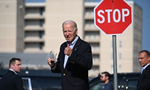 Biden acknowledges seventh grandchild for first time