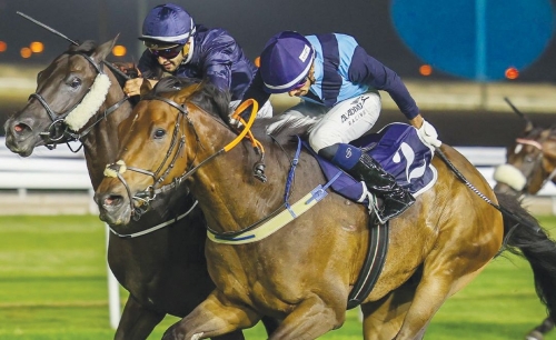 Nader shines with four wins as Pegasus seals thrilling finale