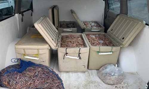 Four arrested, 435kg trawling-caught shrimps seized
