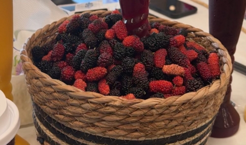 Mulberry Season Ends