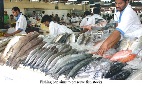 Fishing ban aims to preserve fish stocks