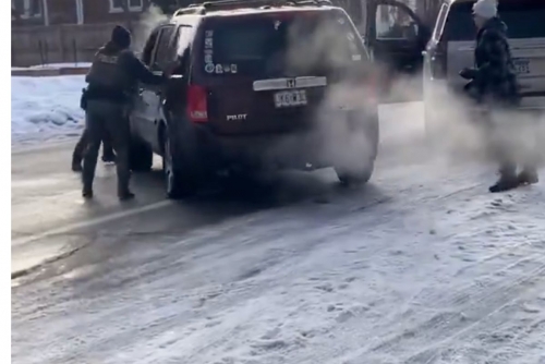 Woman Shot Dead by ICE Agent in Minneapolis