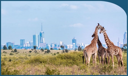 flydubai Expands Kenya Network with New Nairobi Flights and Increased Mombasa Service