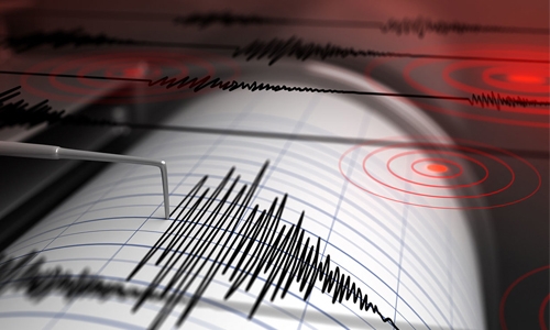 Panic as parts of India hit by earthquake