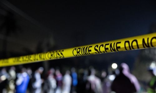 Syria landmine blast kills 19 truffle hunters