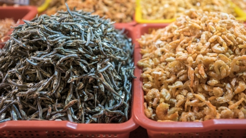 Verdict Set for March 17 for Smuggling Drugs Hidden in Dried Fish and Shrimp