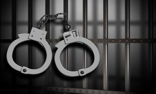5-year jail for 2 for arson